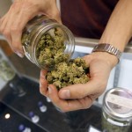 A budtender pours marijuana from a jar at Perennial Holistic Wellness Center medical marijuana dispensary in Los Angeles, July 25, 2012. Photo Credit, International Business Times report, 3/25/16 